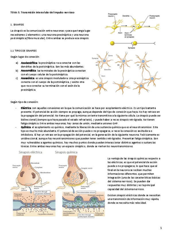 Miniatura del documento FAI-Tema-5.pdf