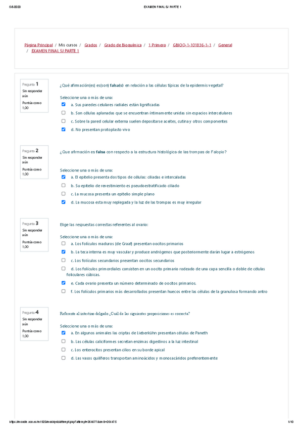 Miniatura del documento EXAMEN-FINAL-5J-PARTE-1.pdf