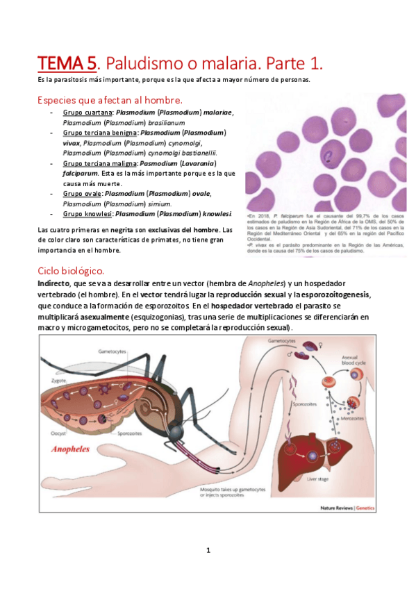 Miniatura del documento TEMA-5. Parte 1 pdf