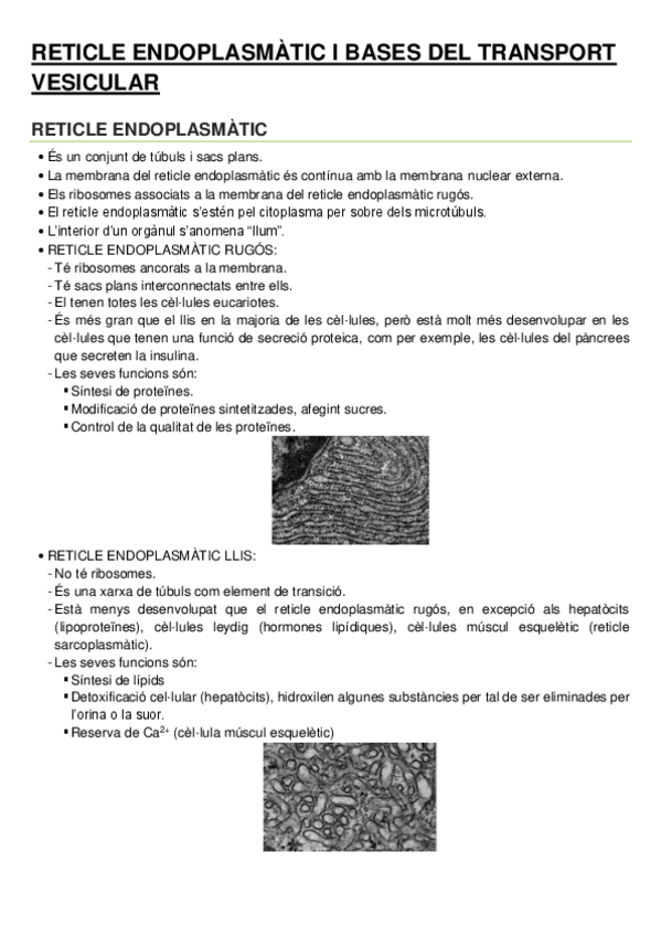 Miniatura del documento 5.pdf