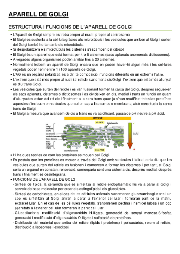 Miniatura del documento 6.pdf