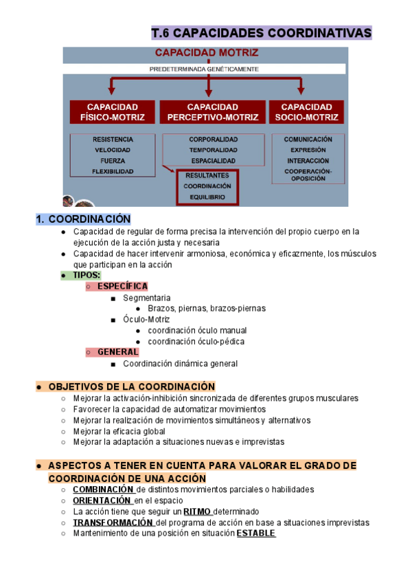 Miniatura del documento T.6 CAPACIDADES COORDINATIVAS