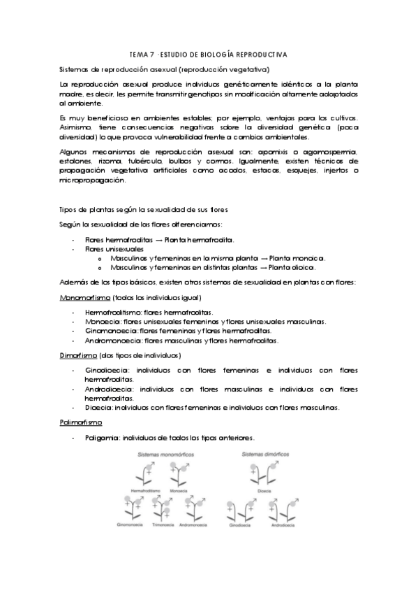 Miniatura del documento Tema-7.pdf