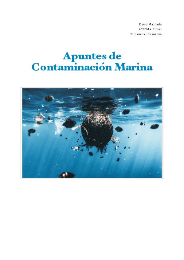 Miniatura del documento Apuntes-Contaminacion-Marina-20-21.pdf