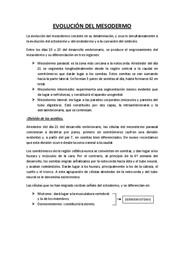 Miniatura del documento EVOLUCION-DEL-MESODERMO.pdf