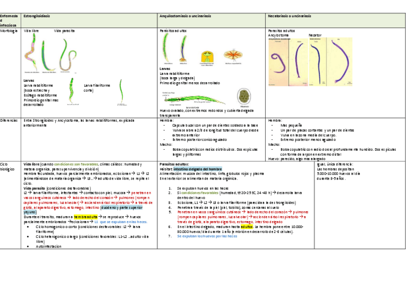 Miniatura del documento TABLA-PARASITOLOGIA-temas-6-10.pdf