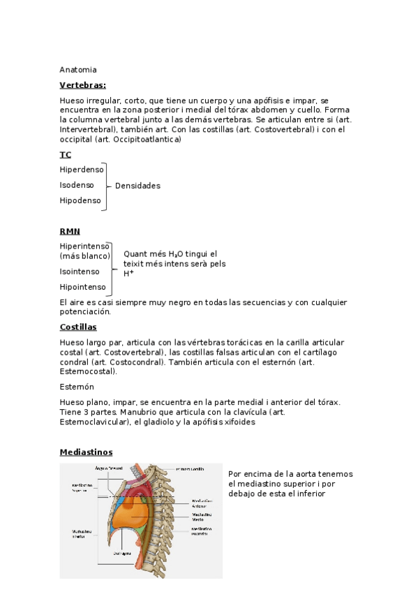 Miniatura del documento Anatomia-tema-2-teoria.docx