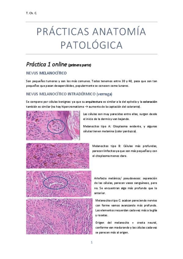 Miniatura del documento PRACTICAS-ANATOMIA-PATOLOGICA.pdf
