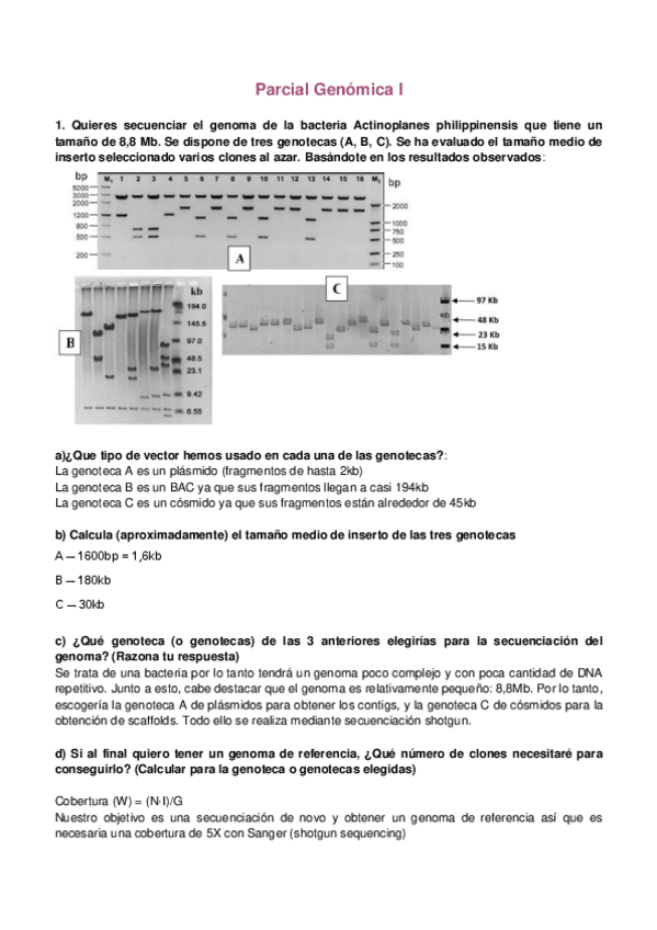 Miniatura del documento Parcial-Genomica-I.pdf