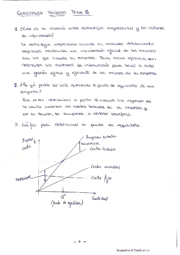 Miniatura del documento Preguntas-Empresa-Tema-5.pdf