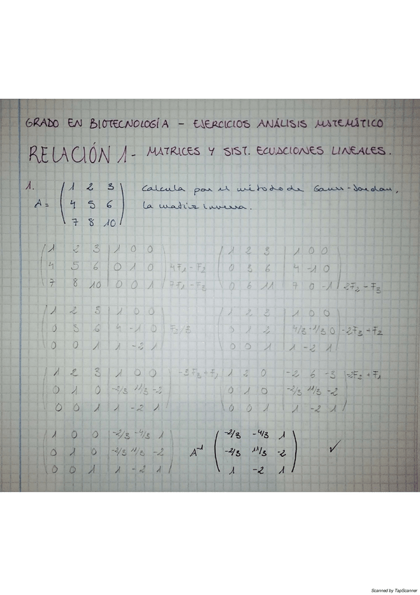 Miniatura del documento RELACION-1-MATRICES-Y-SISTEMAS-DE-ECUACIONES-LINEALES.pdf