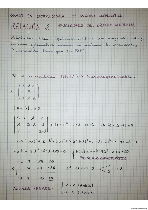 Miniatura del documento RELACION-2-APLICACIONES-DEL-CALCULO-MATRICIAL.pdf