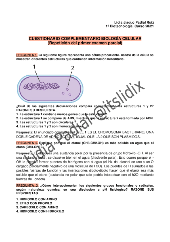 Miniatura del documento PRIMER-EXAMEN-PARCIAL-BIO-CEL-CORREGIDO.pdf