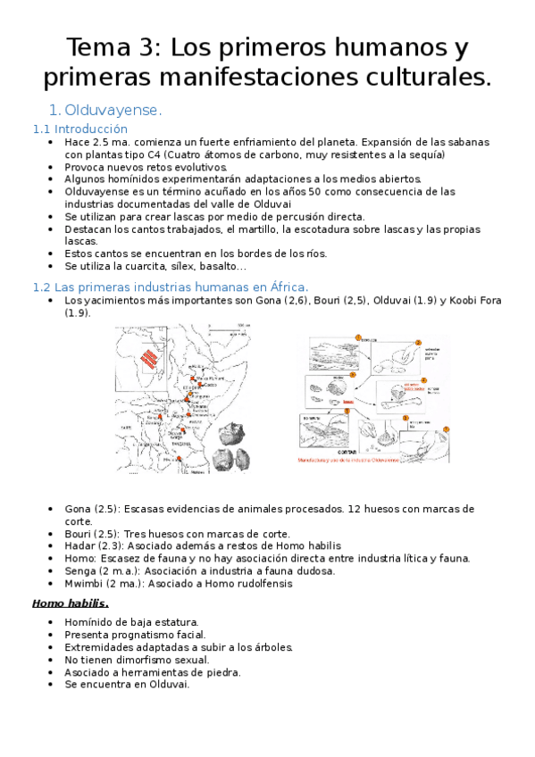 Miniatura del documento Tema-3.docx