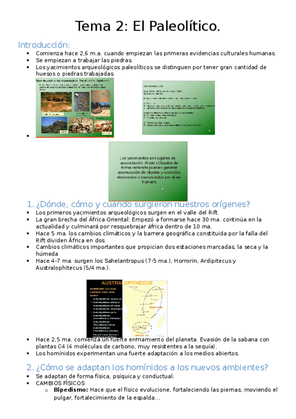 Miniatura del documento Tema-2.docx
