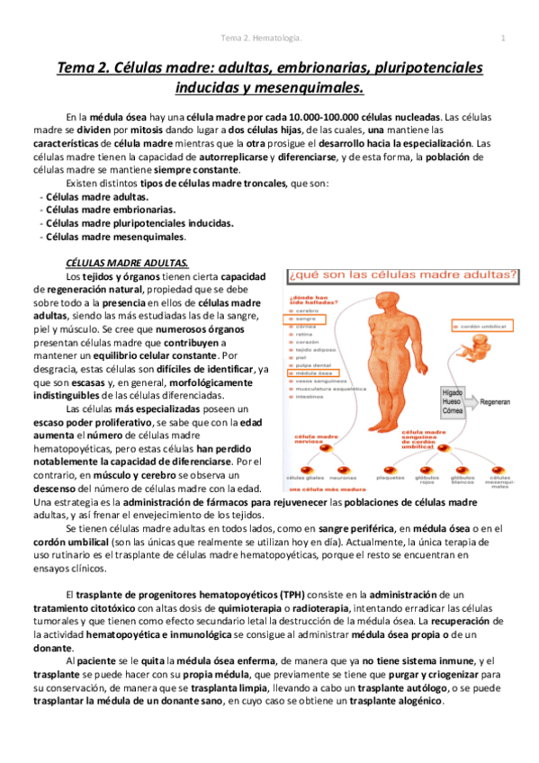 Miniatura del documento Tema 2. Hematología..pdf