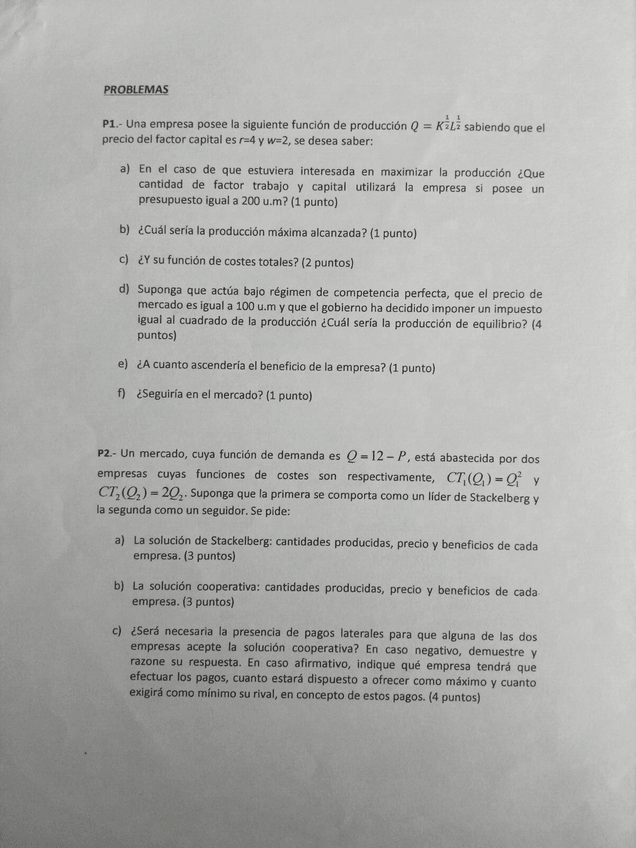 Miniatura del documento IMG_2138.JPG