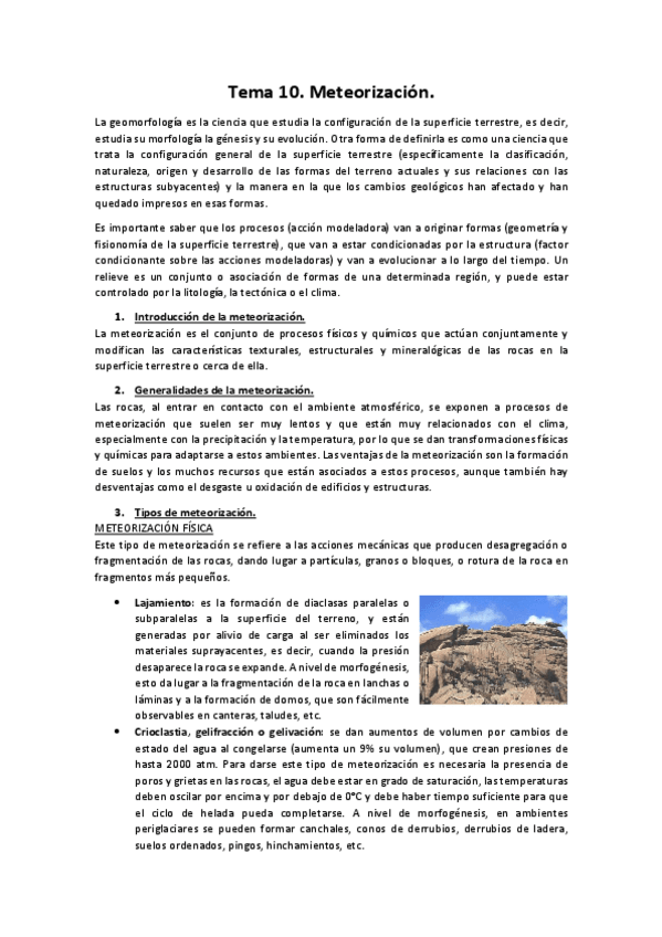 Miniatura del documento tema-10.pdf