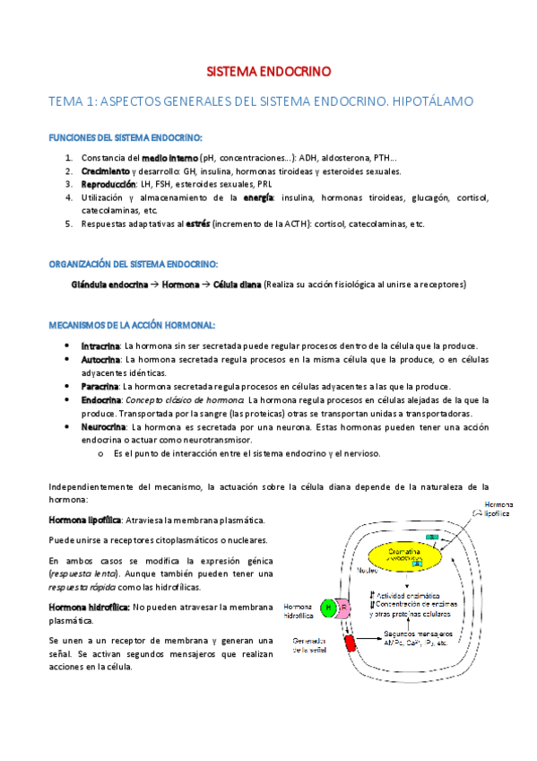 Miniatura del documento Tema 1.pdf
