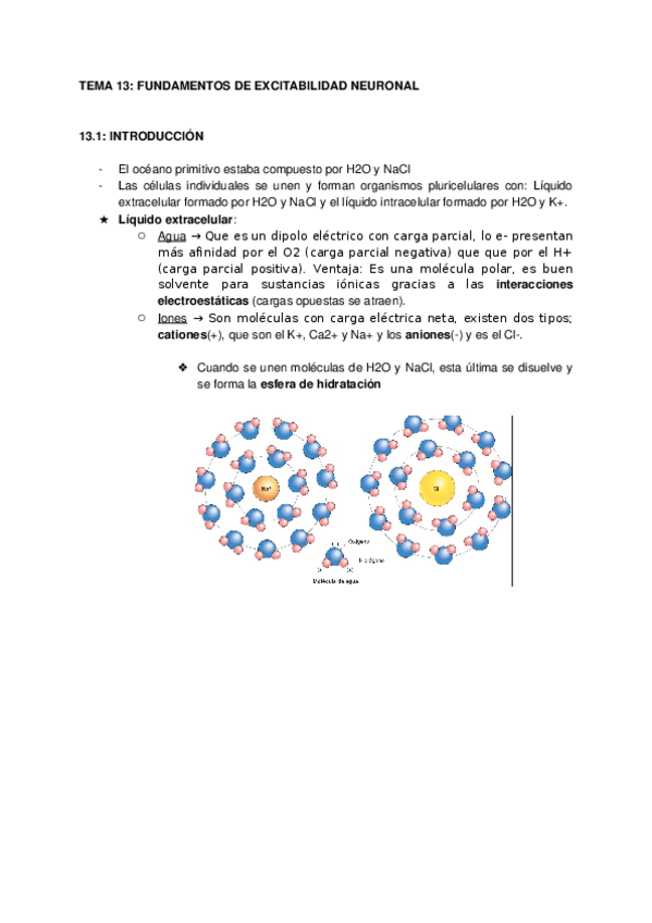 Miniatura del documento TEMA-13-FUNDAMENTOS-DE-EXCITABILIDAD-NEURONAL.docx