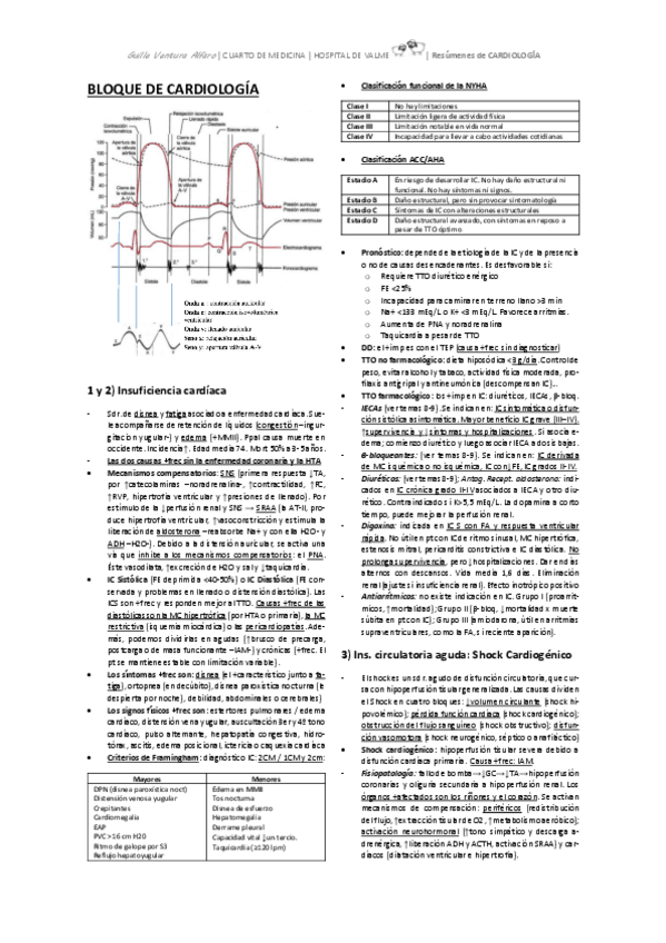 Miniatura del documento RESÚMENES GUILLE - CARDIOLOGÍA.pdf