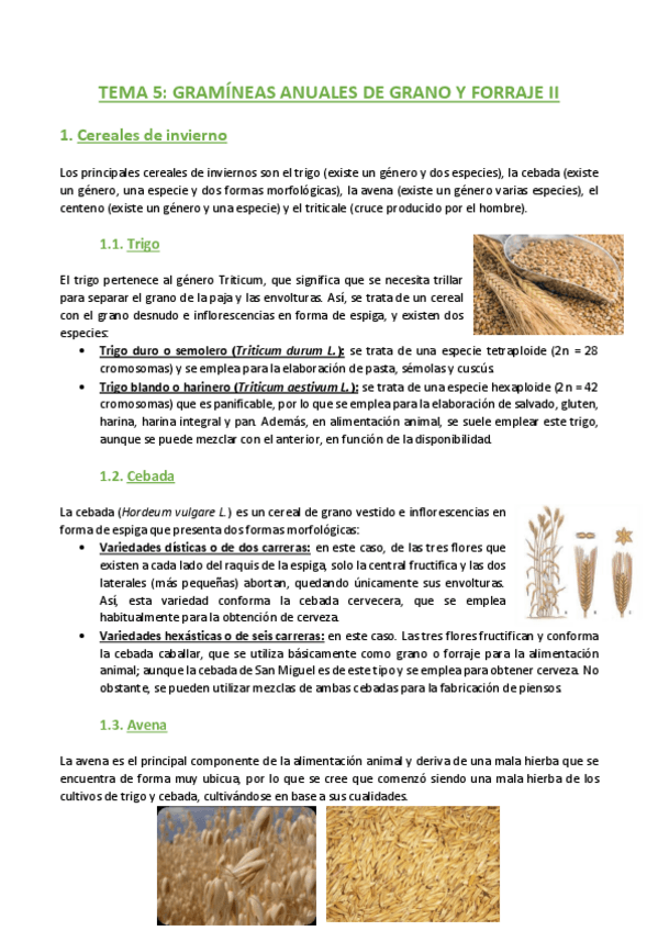 Miniatura del documento TEMA-5-Agronomia.pdf