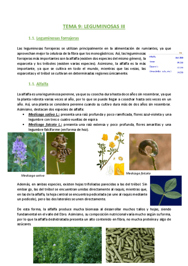 Miniatura del documento TEMA-9-Agronomia.pdf