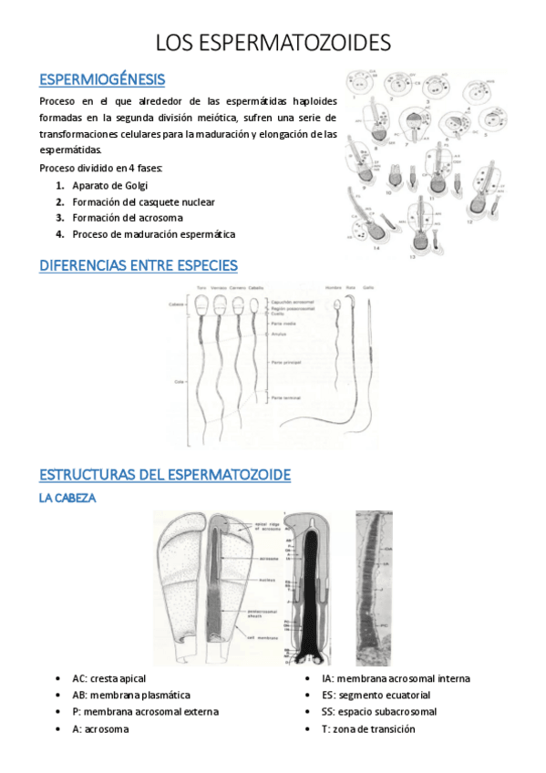 Miniatura del documento 15.pdf