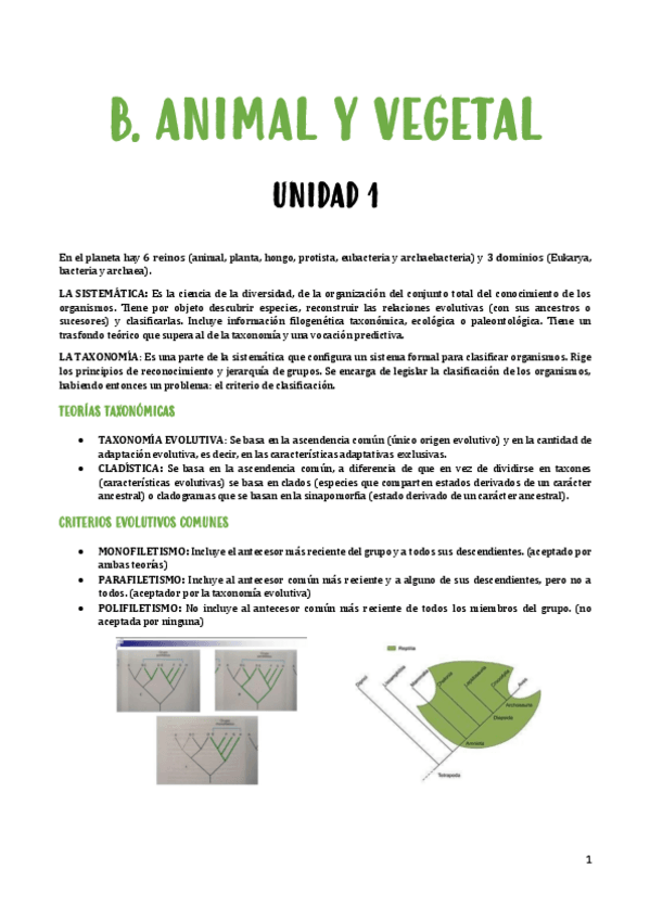 Miniatura del documento Todo-temario-BAV.pdf