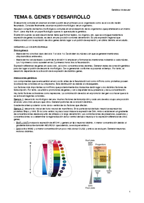 Miniatura del documento GM-8.pdf