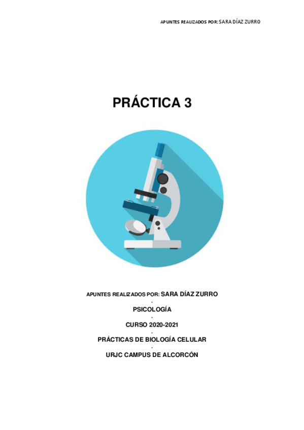 Miniatura del documento PRACTICA-3.pdf