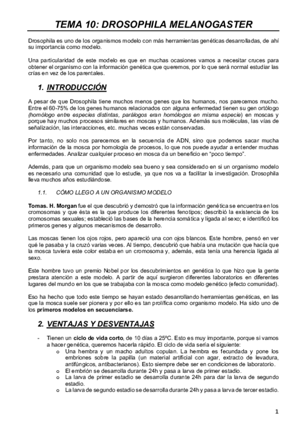 Miniatura del documento MODELOS-T10.pdf