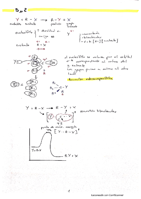 Miniatura del documento resumen-de-SN2-SN1-E2-Y-E1.pdf