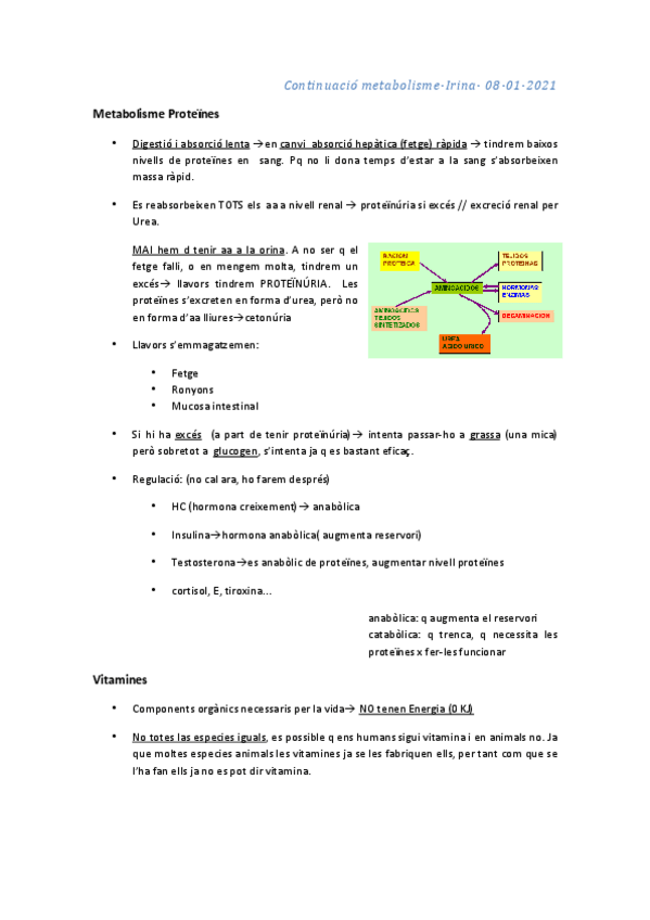 Miniatura del documento continuacio-metabolisme-i-endocrinologia-irina-08-01-21.pdf