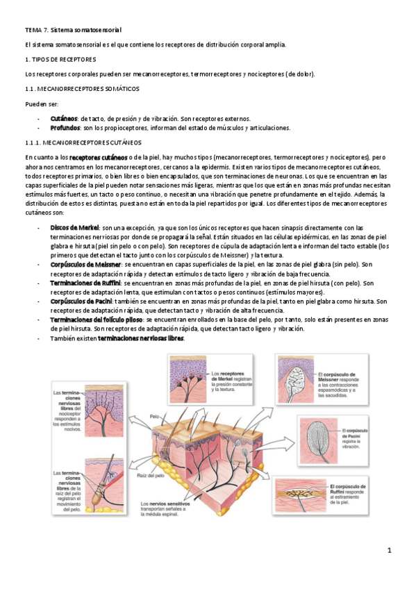 Miniatura del documento FAI-Tema-7.pdf