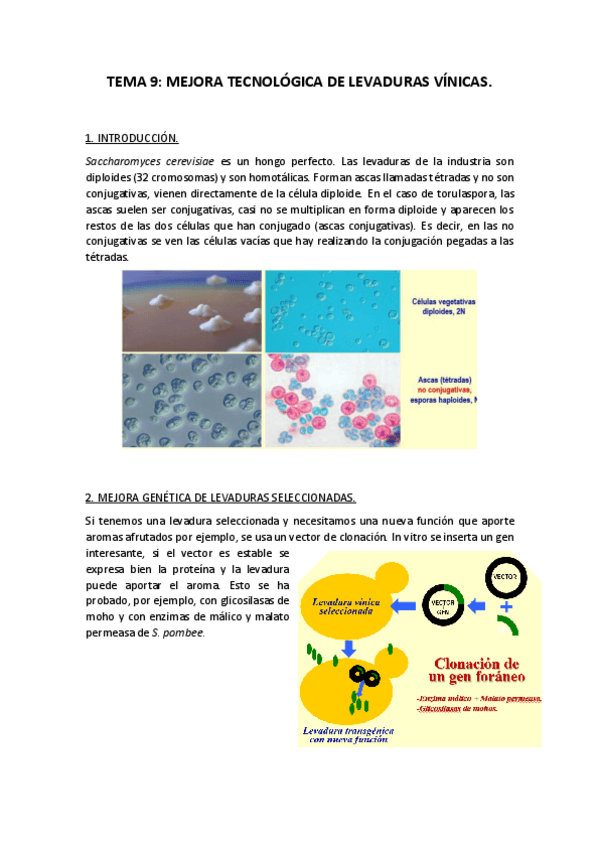 Miniatura del documento TEMA-9-BIOTECNOLOGIA-MICROBIANA.pdf