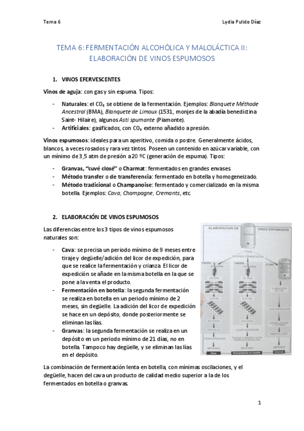 Miniatura del documento TEMA-6-BIOTECNOLOGIA-MICROBIANA.pdf