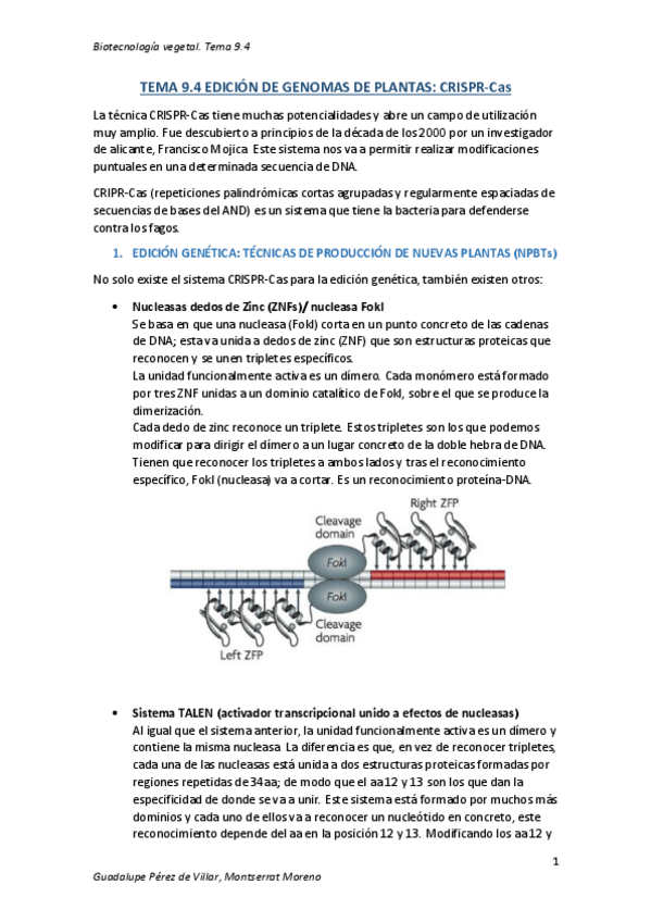 Miniatura del documento TEMA-9.pdf
