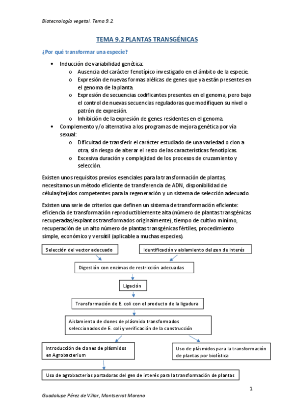 Miniatura del documento TEMA-9.pdf