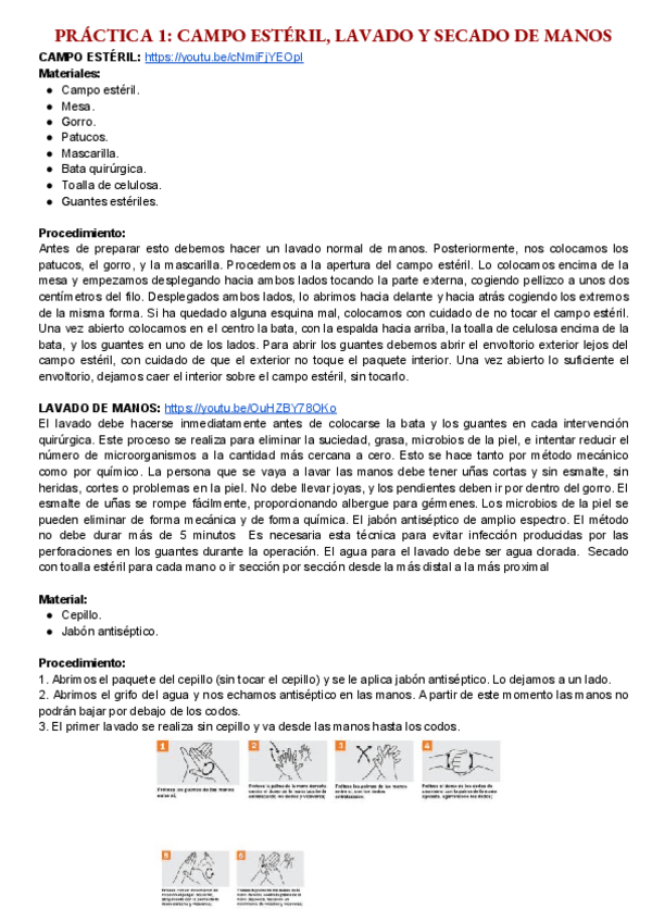 Miniatura del documento Practicas.pdf