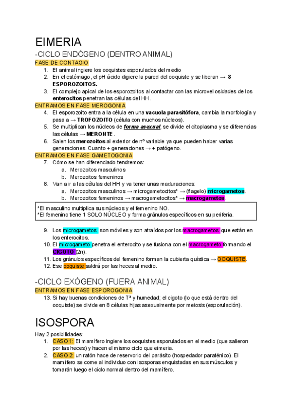 Miniatura del documento TODOS-LOS-CICLOS-RESUMIDOS.pdf