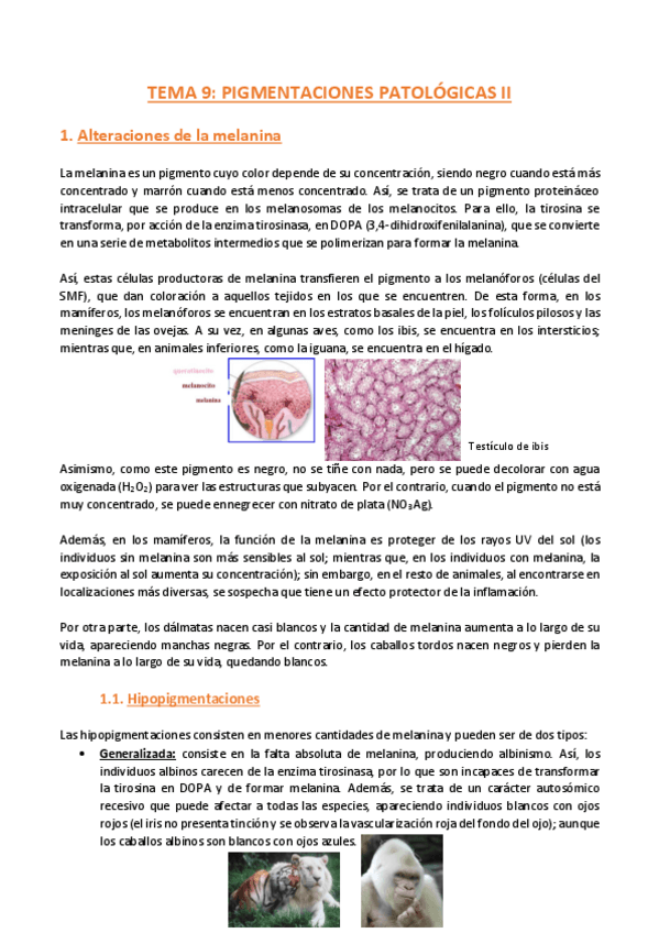 Miniatura del documento TEMA-9-Anatomia-Patologica-General.pdf