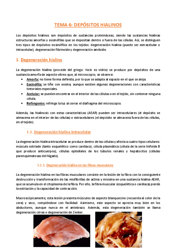 Miniatura del documento TEMA-6-Anatomia-Patologica-General.pdf