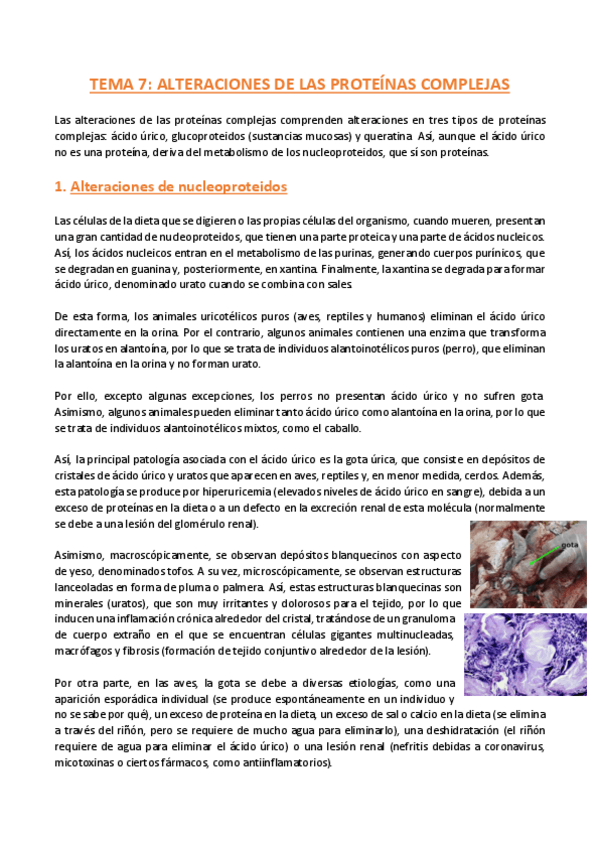 Miniatura del documento TEMA-7-Anatomia-Patologica-General.pdf