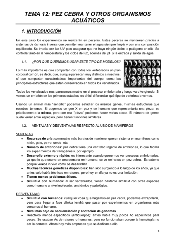 Miniatura del documento MODELOS-T12.pdf