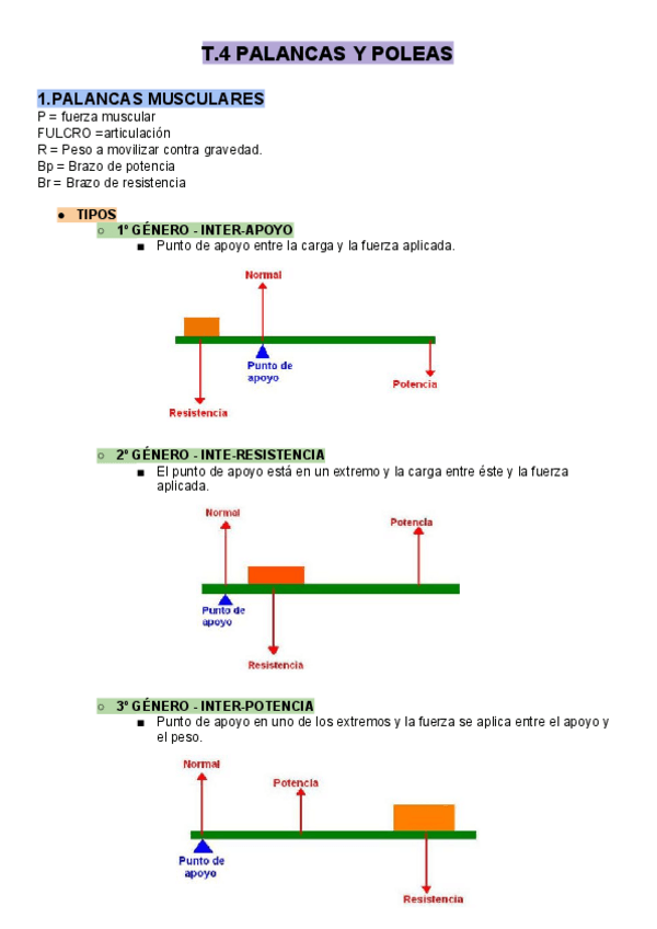 Miniatura del documento T.4 PALANCAS Y POLEAS