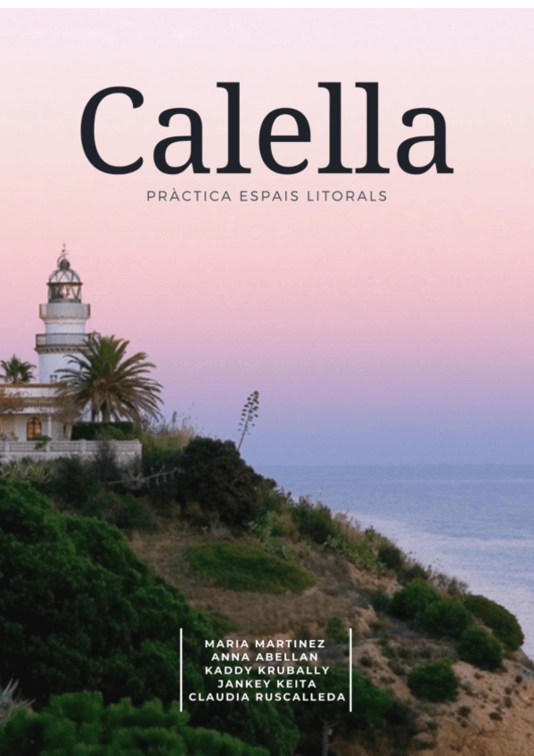 Miniatura del documento ORDENACIO-Treball-platges.pdf