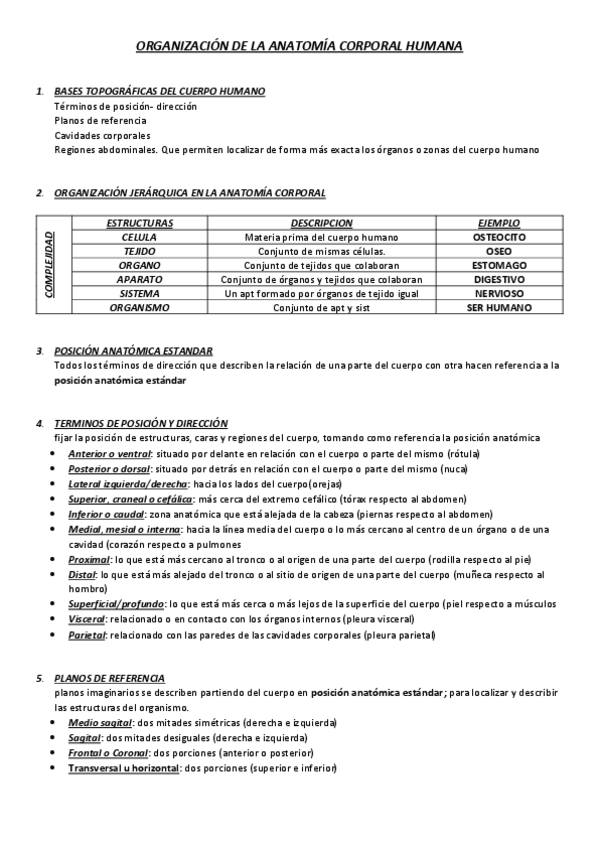 Miniatura del documento ORGANIZACION-DE-LA-ANATOMIA-CORPORAL-HUMANA.pdf