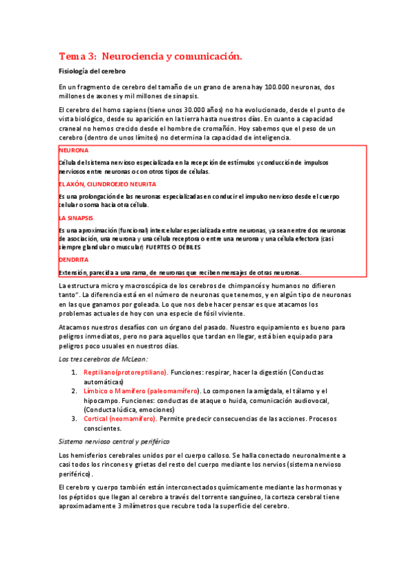 Miniatura del documento Tema-3-marketng.pdf