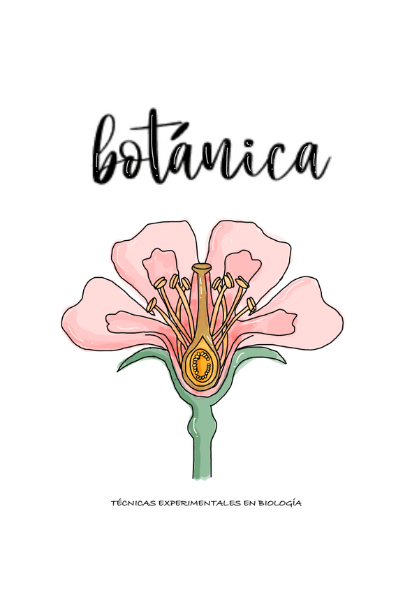 Miniatura del documento BOTANICA-.pdf